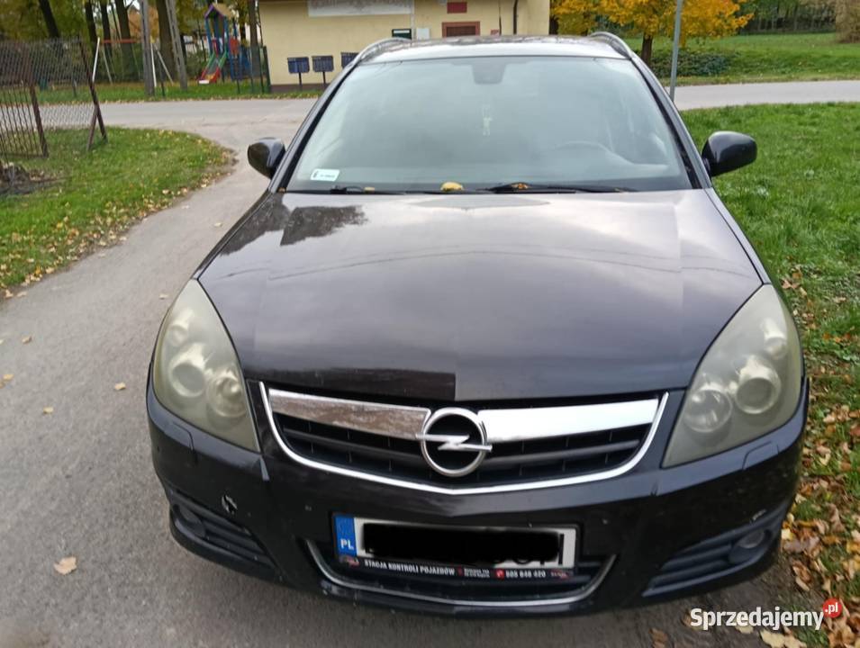 Opel Signum 19 120 Ćmielów