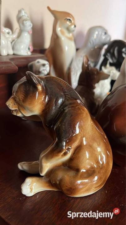 Figurka niedźwiedzia brunatny ClujNapoca Gdańsk