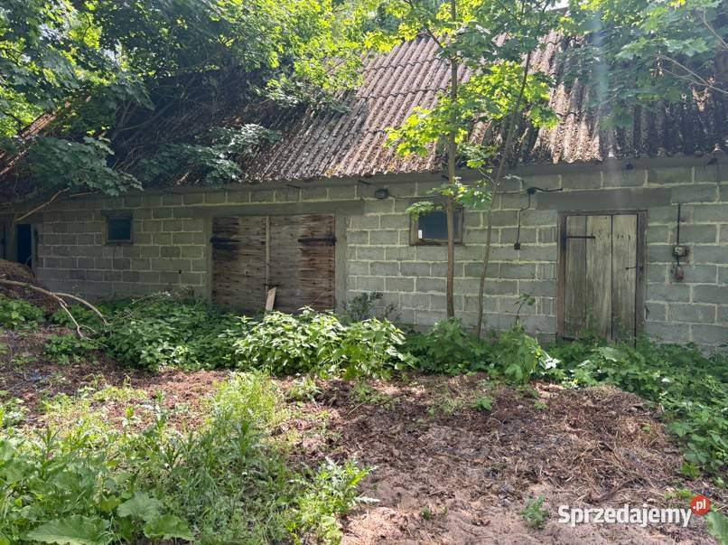 Siedlisko pod lasem 481 ha Puszcza Biała Stara mazowieckie sprzedam