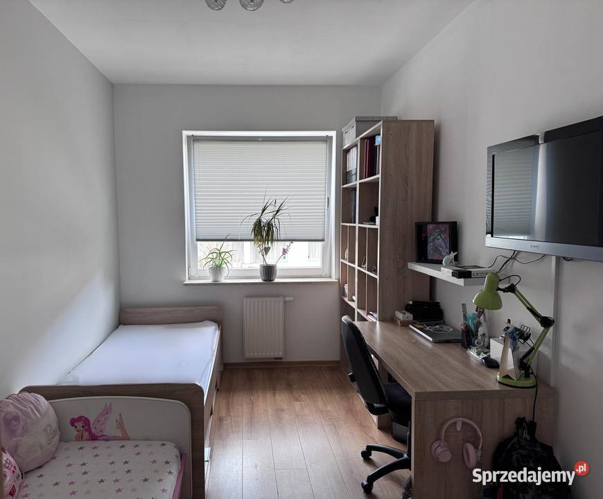 mieszkanie do wynajęcia