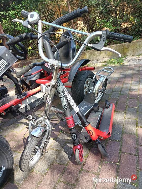 Sprzedam duży gokart Berg Holandia Szczecin Pozostałe