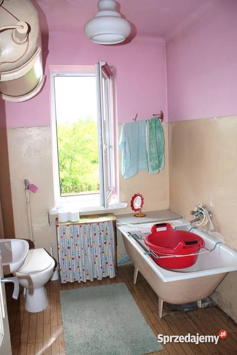 dom Żółwin kPodkowy Leśnej Żółwin