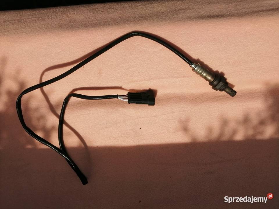 Sonda DUCATI 8481098 i inne Sędziszów sprzedam