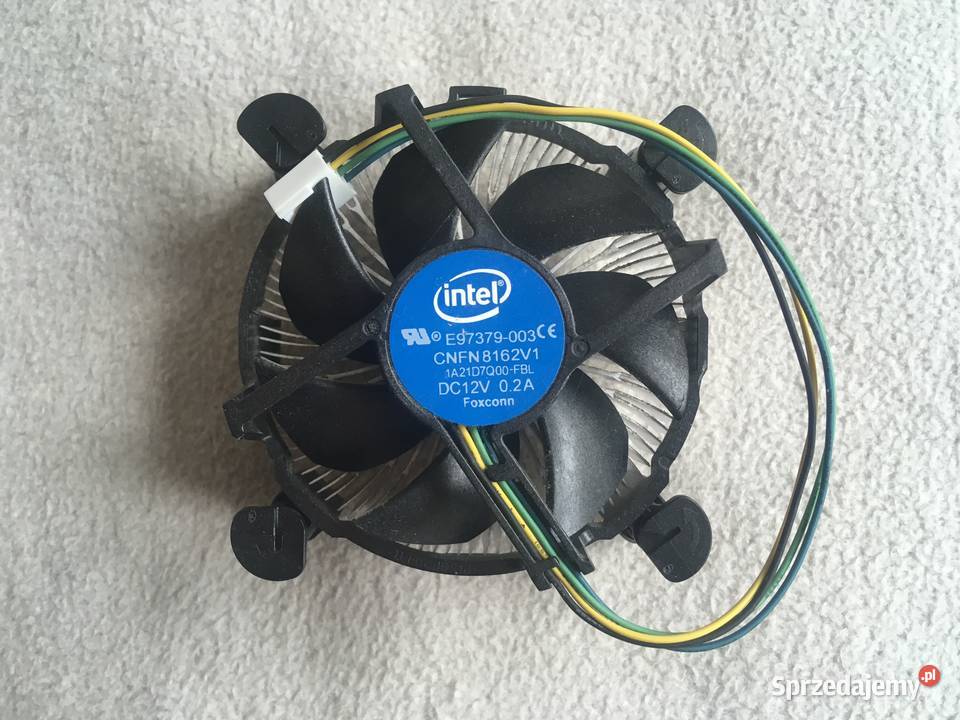Procesor Intel Core I3 8100 36 GHz Kołobrzeg