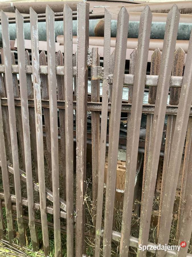 Brama Ogrodzeniowa skrzydłowa Wieluń