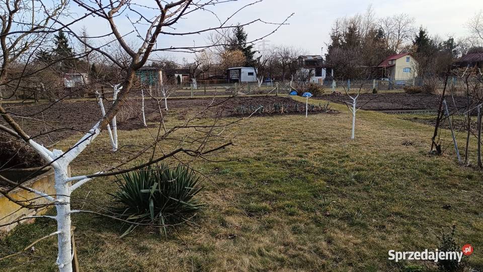 Radość działka odstąpie Grunty i działki Wrocław
