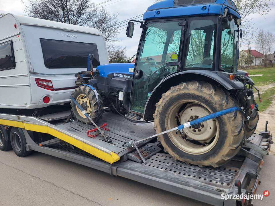 Holland sadownik podkarpackie Dąbrowica sprzedam