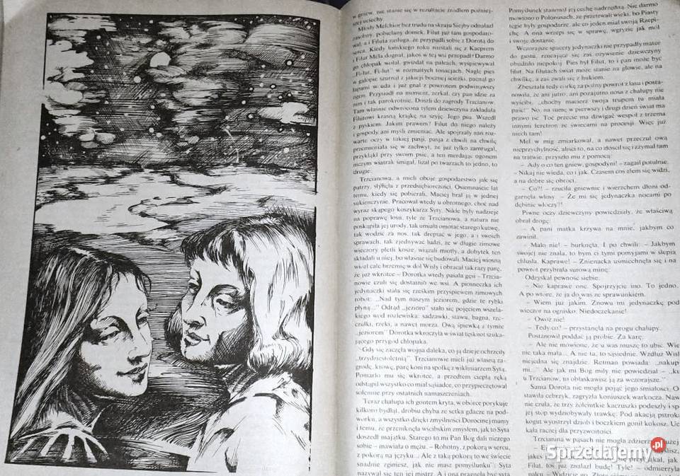 Muszkieterowie znad Wisły Janusz Rychlewski Chełm