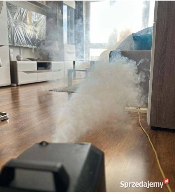 Pluskwa domowa zwalczanie Zwalczanie szkodników, deratyzacja dolnośląskie Wrocław