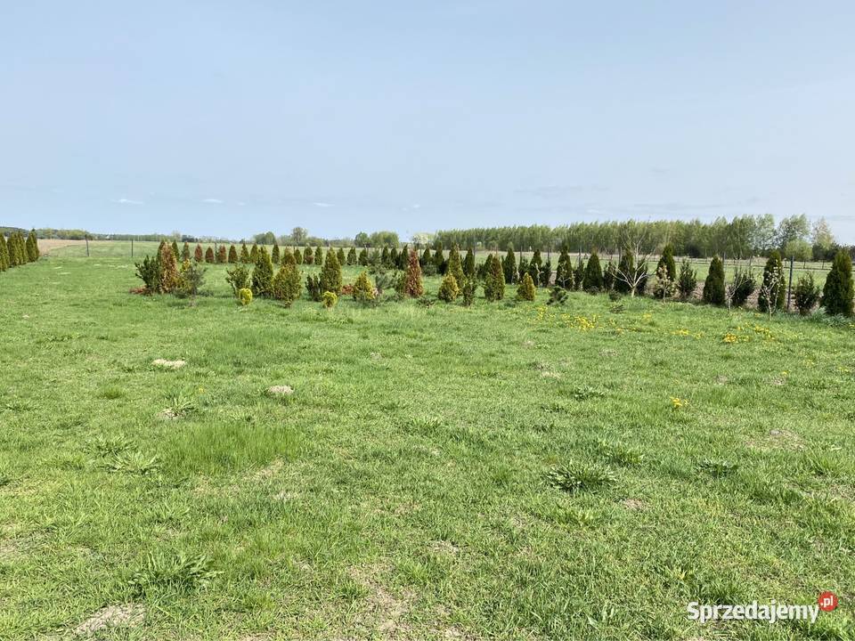 Sprzedam dom 11377m2 z hala obecnie stolarnia Rok budowy 2020 Sitki