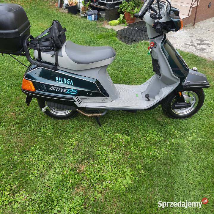 Beluga naklejka skuter Yamaha mazowieckie Raszyn sprzedam