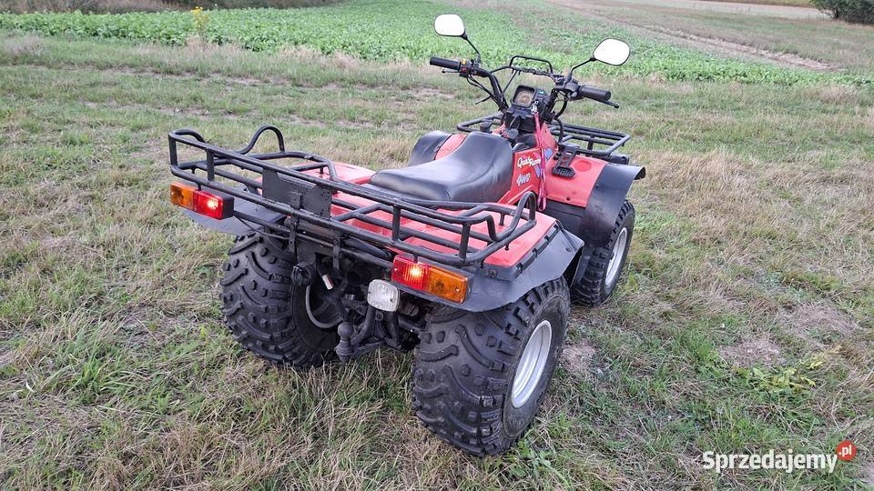 Quad Suzuki Quadrunner LTF250 2WD 4WD 4x4 nieuszkodzony mazowieckie Radom