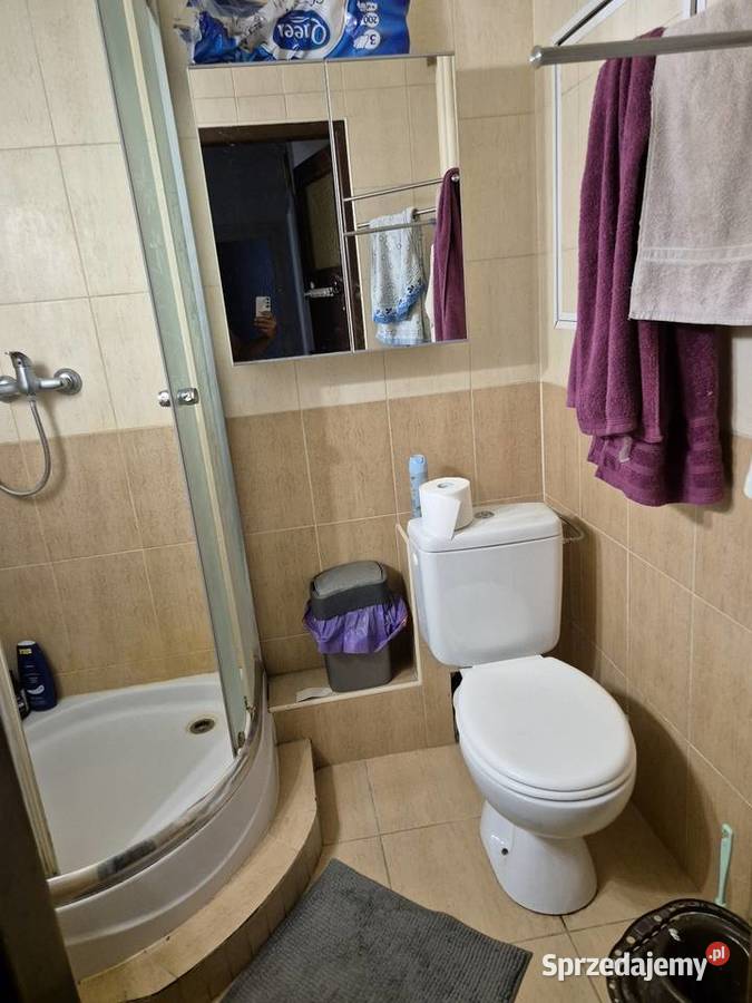 Wynajmę mieszkanie dwupokojowe piastowskie Mieszkania Poznań