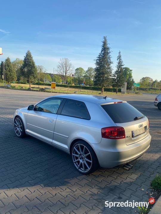 Audi A3 8P 20 TDI CR LIFT Super Stan Stęszew