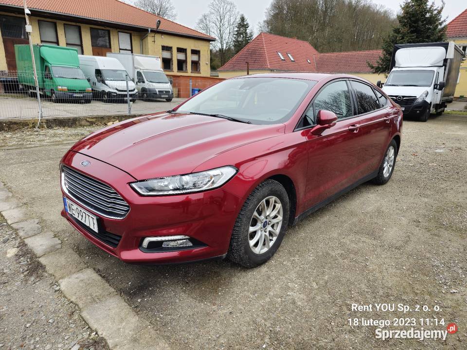 Wynajem samochodów aut osobowych dostawczych lubuskie Gorzów Wielkopolski