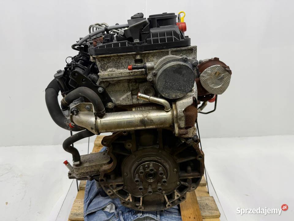 SILNIK CYR5 Ford Transit VIII MK8 22 TDCI 125