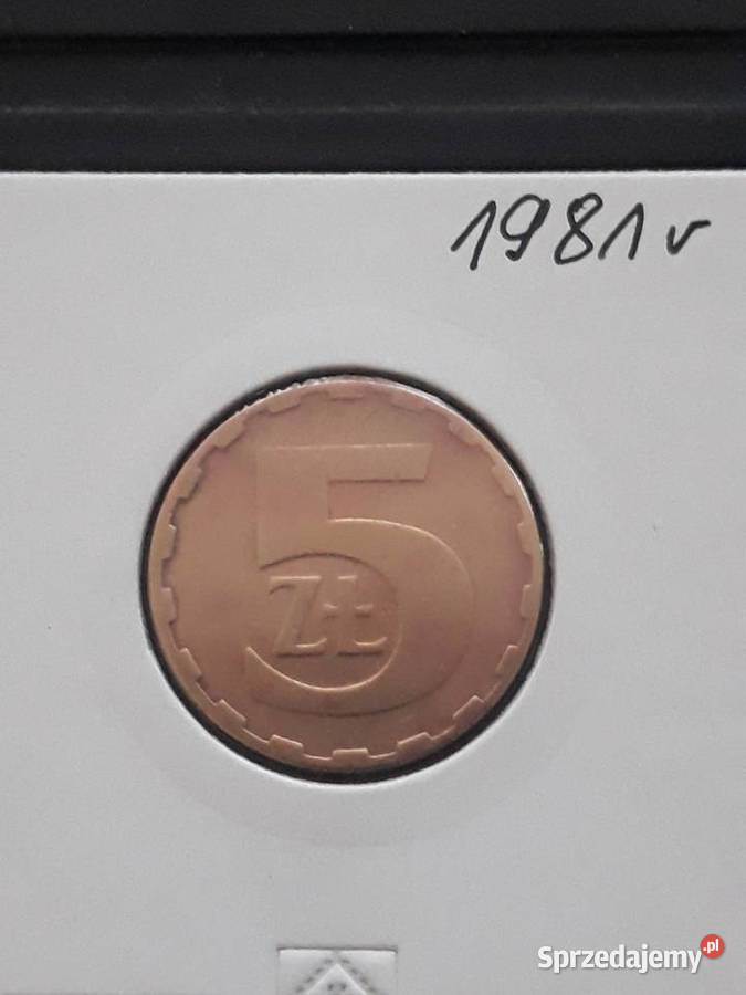 5 Złotych 1981 r najniższy nakład Konin sprzedam