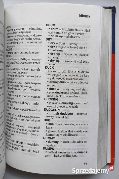 Słownik angielskopolski polskoangielski idiomy i Radom