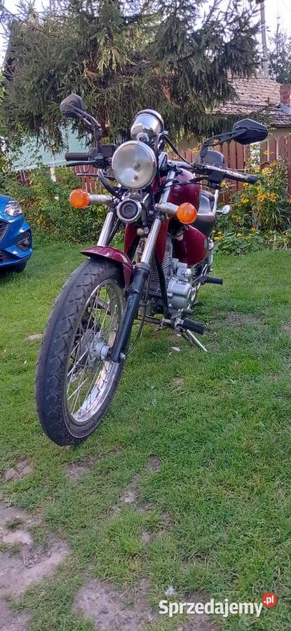 Rex Chopper 125 chopper lubelskie Szczecyn