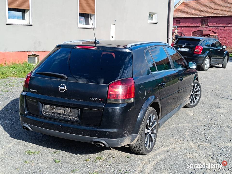 Opel Signum 30 V6 CDTI 177 2005 r Bogata Wersja Trzebiel