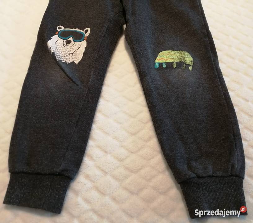Spodnie dresowe miś polarny 104 Little kids śląskie Czeladź