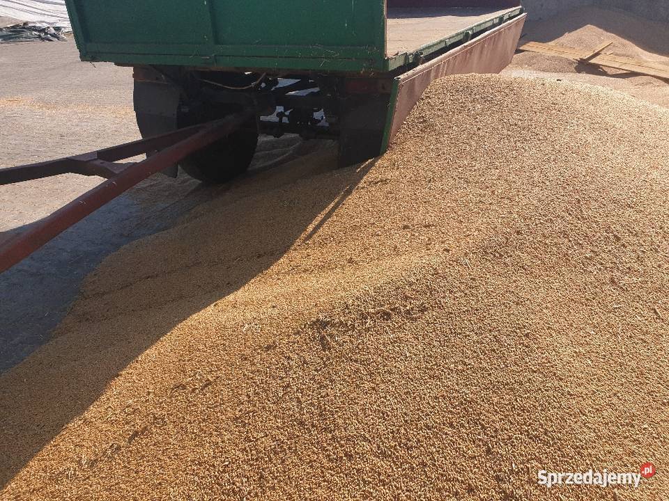 Przyczepa rolnicza d35