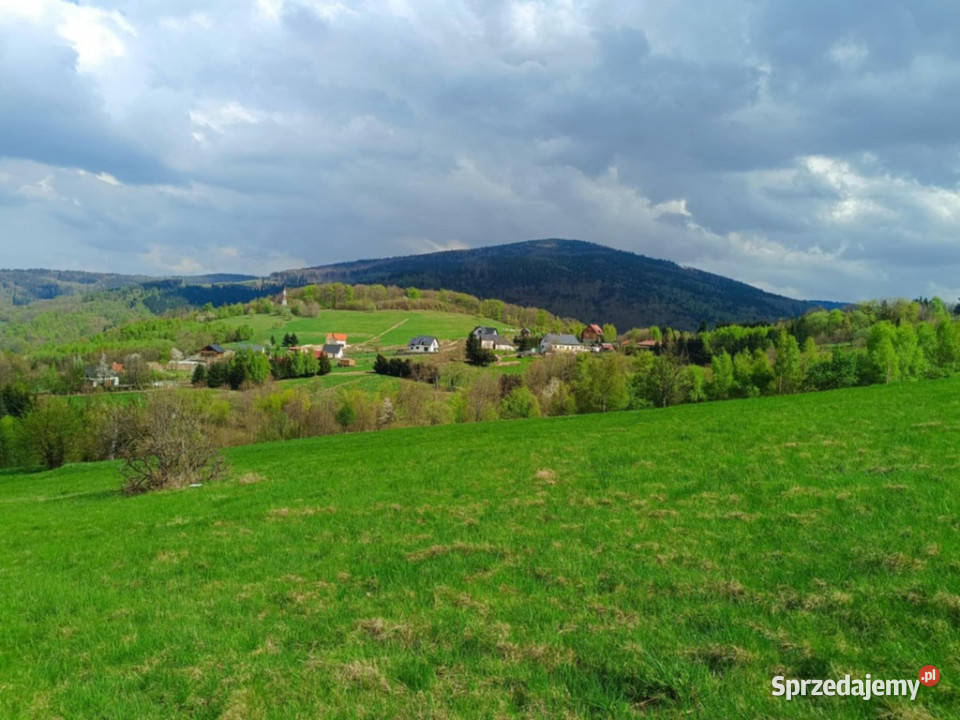 Działki pod lasem z panoramicznym widokiem Walim sprzedam