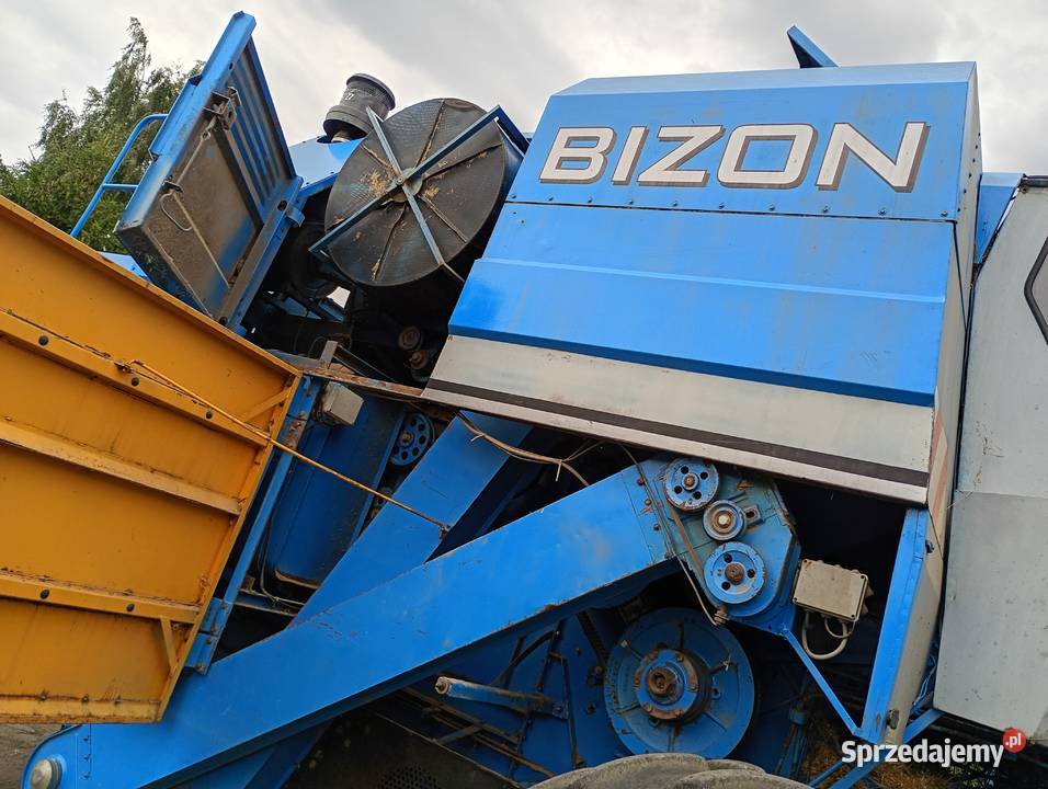Bizon Dynamic LX Z165 1996r 2 hedery