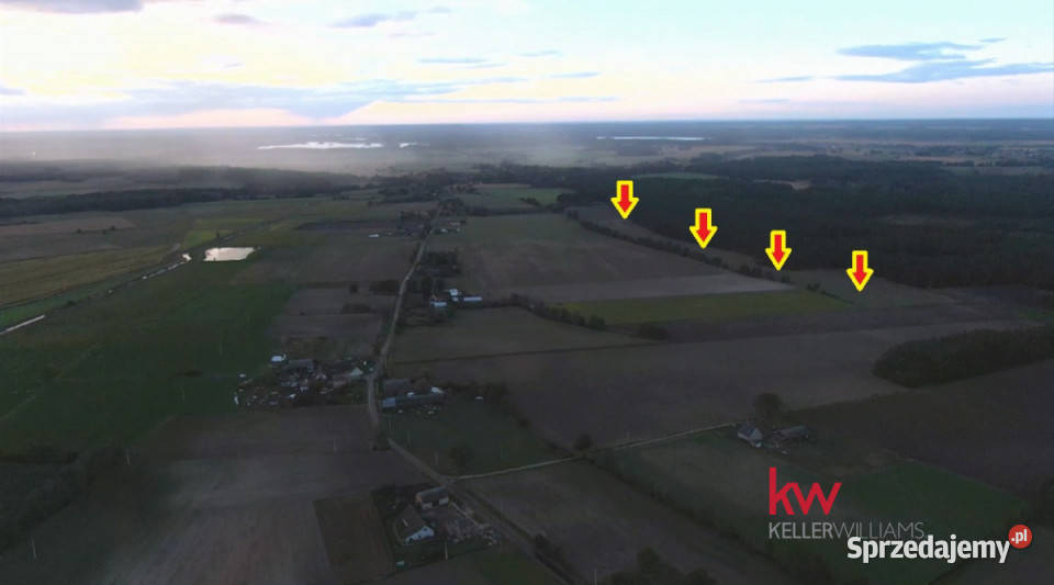 sprzedaży gruntu 65000m2 Borzynowo Nieruchomości sprzedam