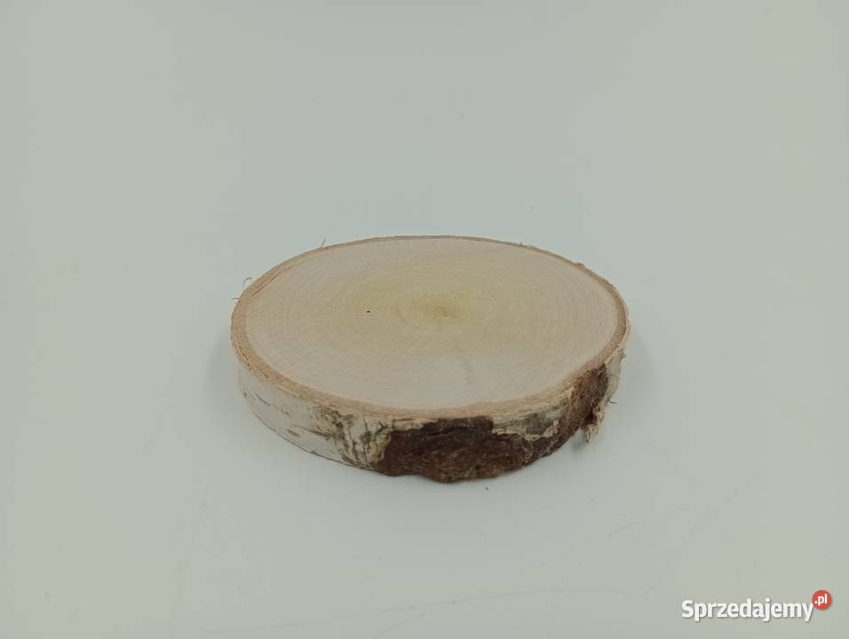 PLASTRY BRZOZOWE 110 100 KRĄŻKI BROZOZWE PLASTRY