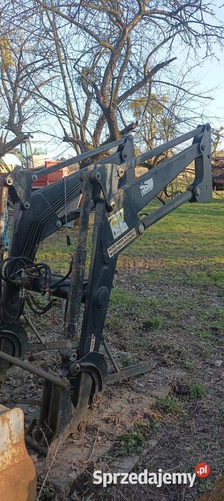 Renault Celtis z turem Puńców