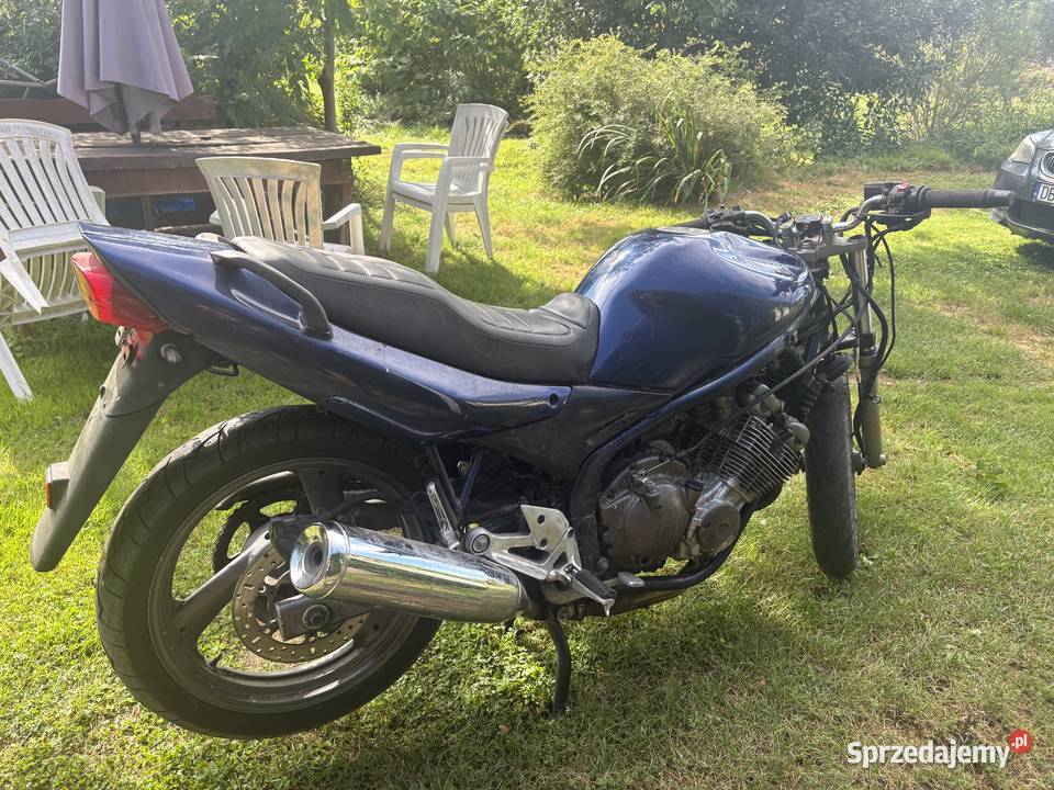 Yamaha XJ600 Leśna