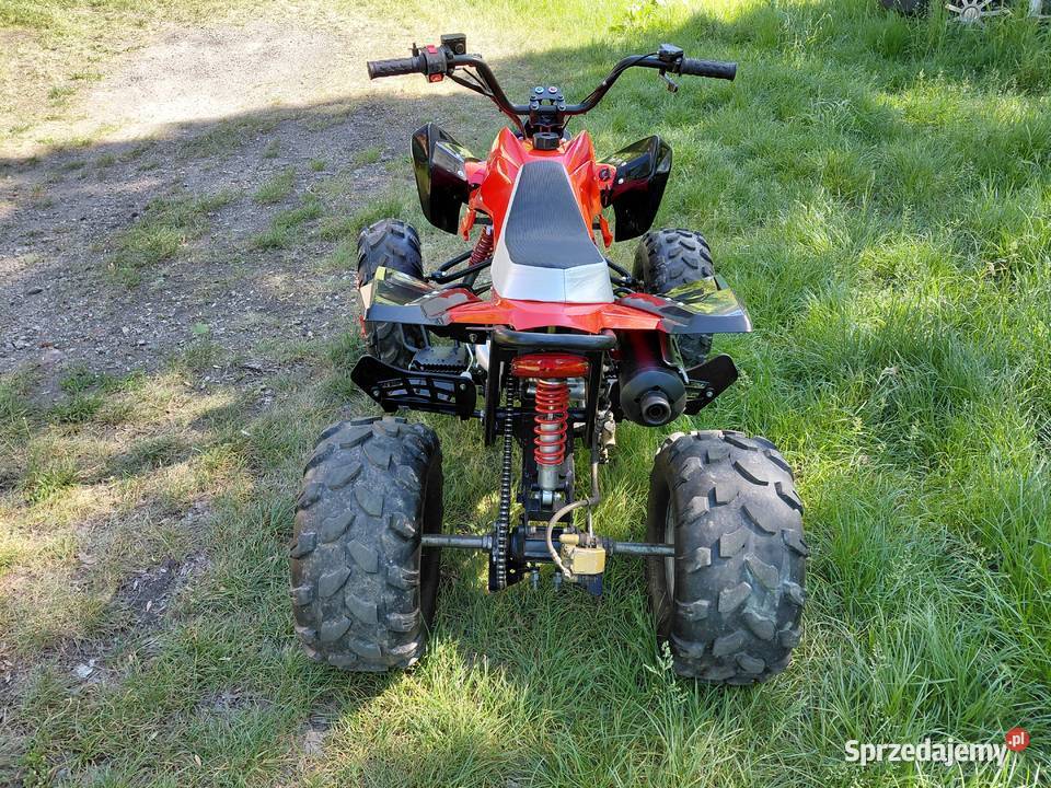 Quad 110 remoncie panthera Lubin
