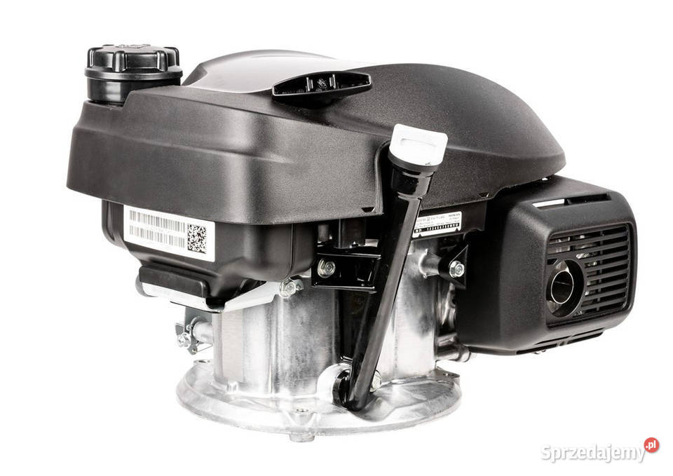 Silnik Honda GCV200 CEDKS56SH 482038 Opalenica