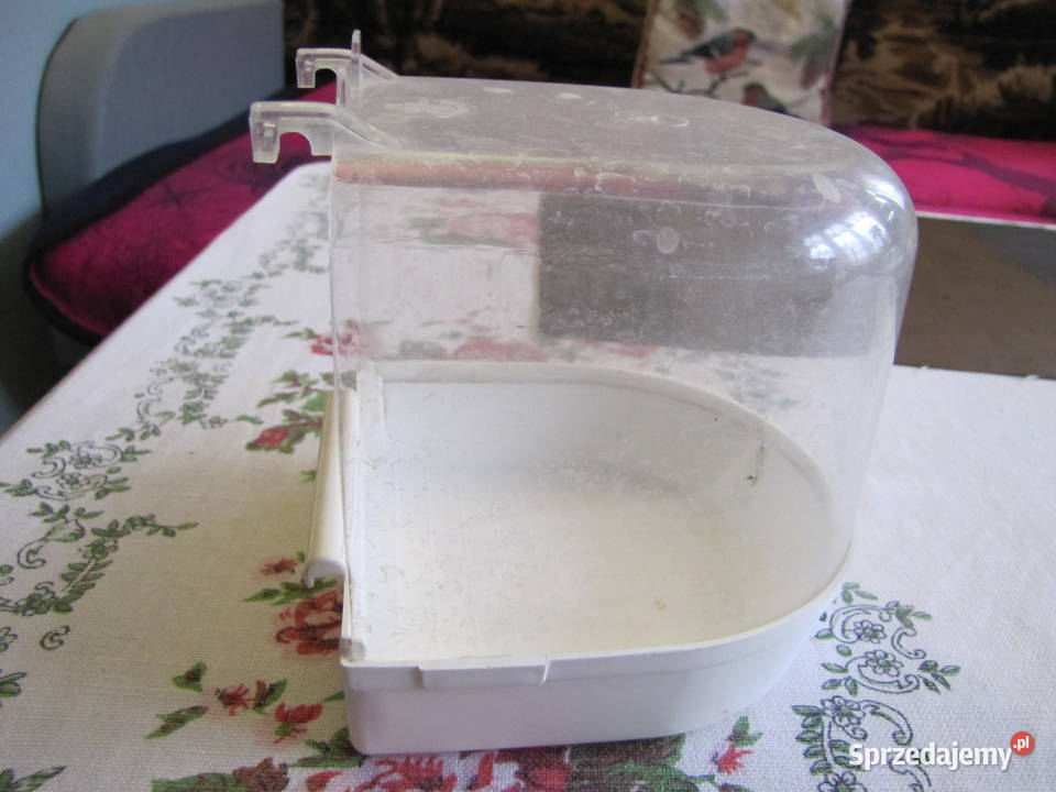 Basen ptaków Toruń