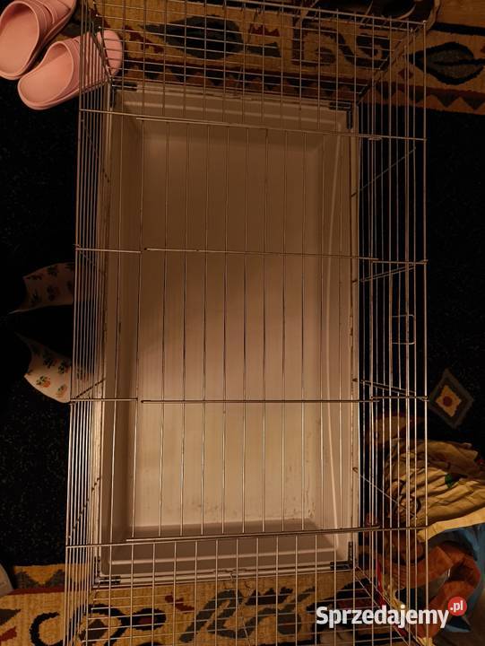 Klatka morskiej świnki albo królika w stanie Warszawa