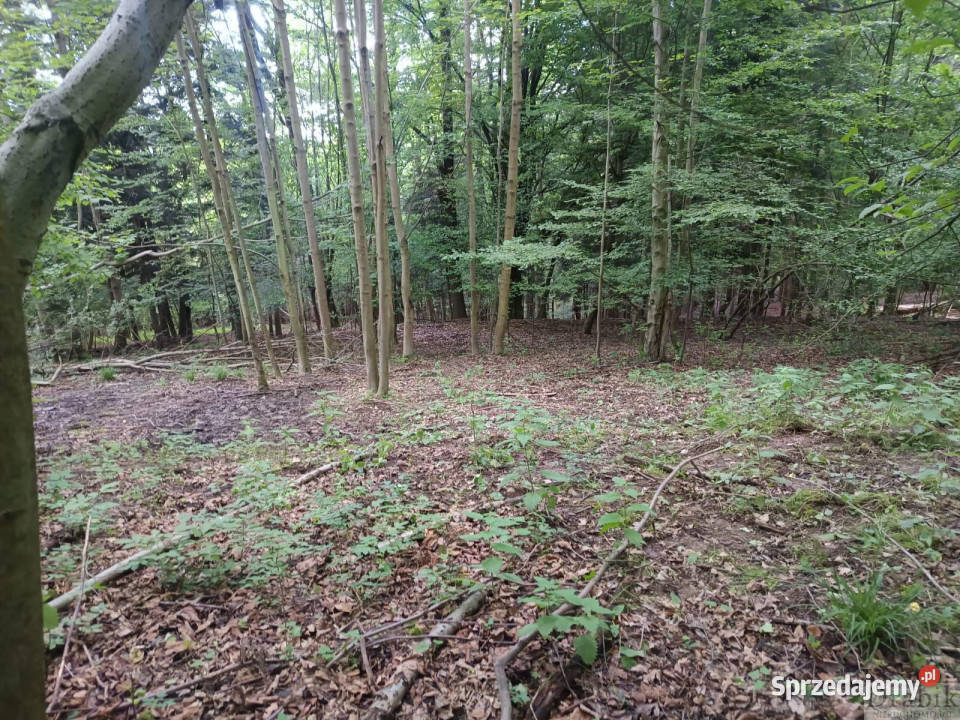 Działka Budzów 4545m2 4545m2
