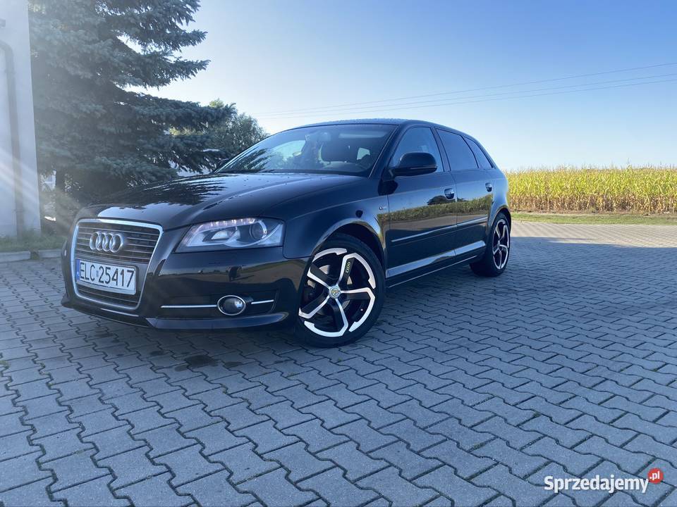 Audi A3 8P 16 TDI światła do jazdy dziennej