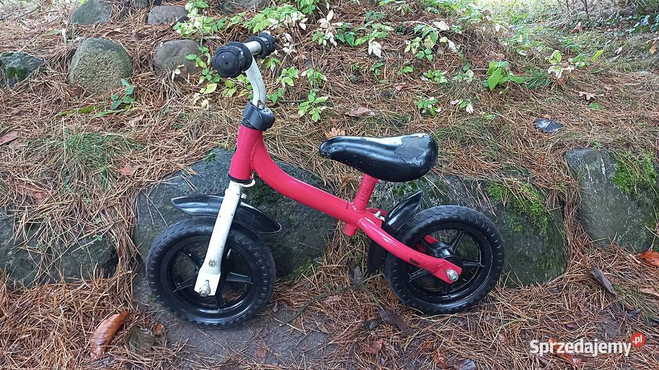 Rower Dziecięcy Rowerek Biegowy Avigo dziecka w Wołów