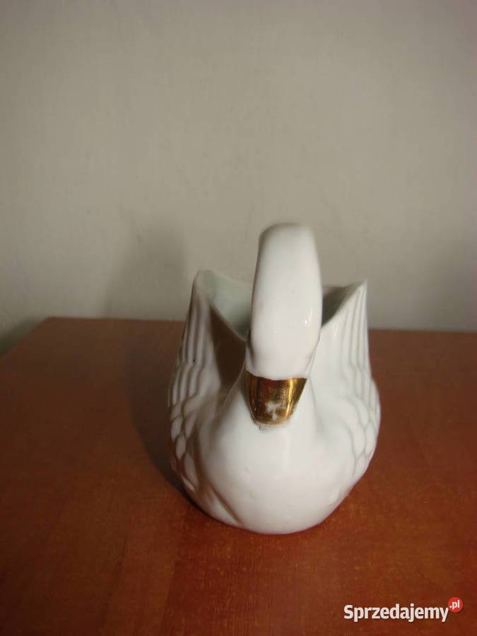 mały Łabędź Pruszcz Gdański