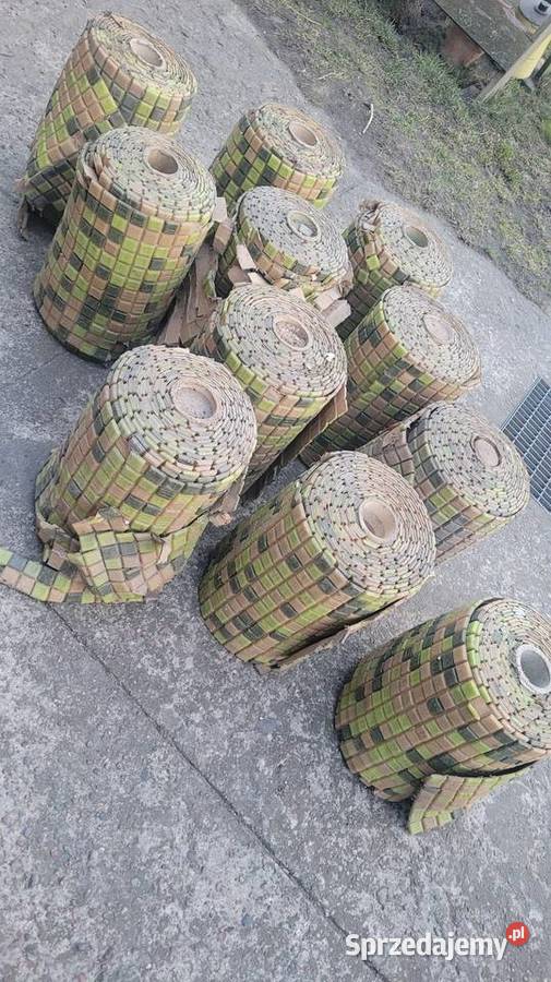 Iryskikaflemozaika z dawnych lat Skierniewice