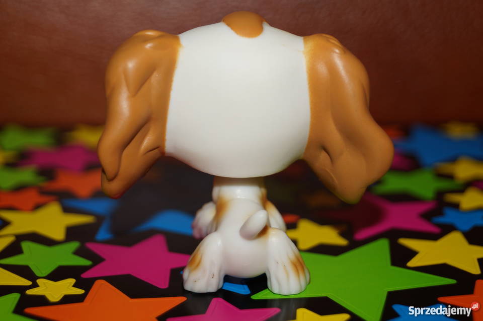 LPS spaniel UNIKAT 344 Littlest Pet Shop pies Czerwionka-Leszczyny