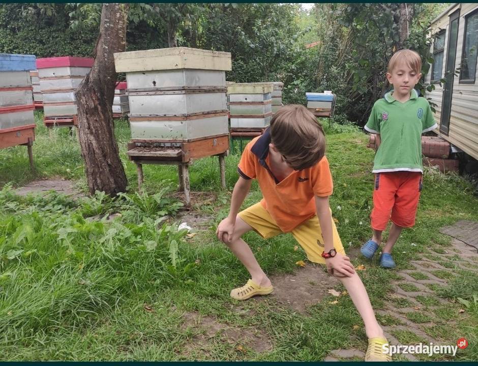 ręki Krainka TROISECK matki UN unasiennione ze pomorskie Wolinia