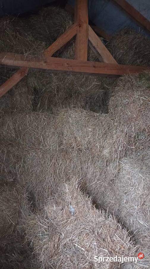 Słoma w kostkach Szarwark