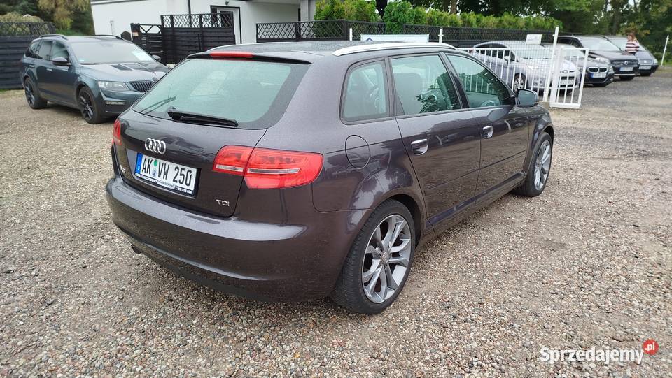 Audi A3 Sportback 16 TDI 105 Bezwypadkowy manualna pomorskie Bytów