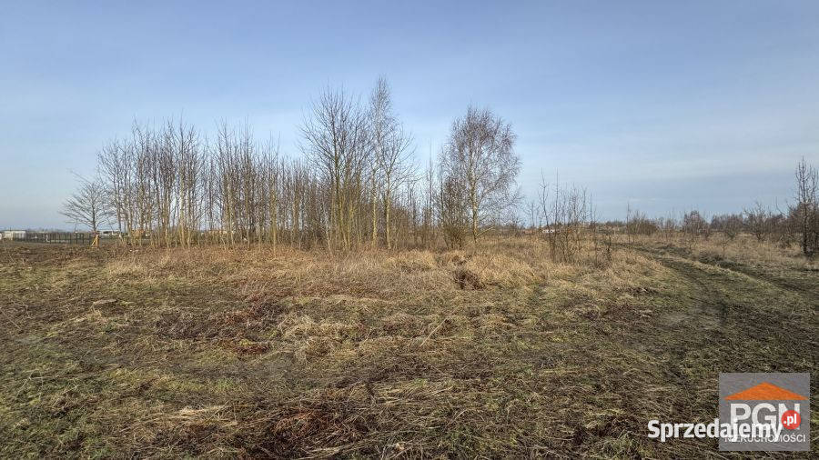 Działka 2002m2 Buniewice