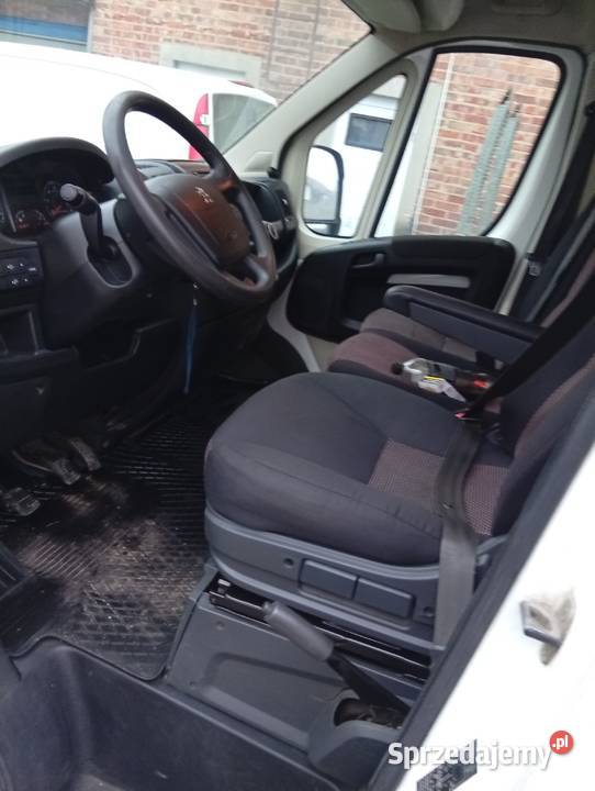 Boxer brygadowy 7 osób wielkopolskie Oborniki