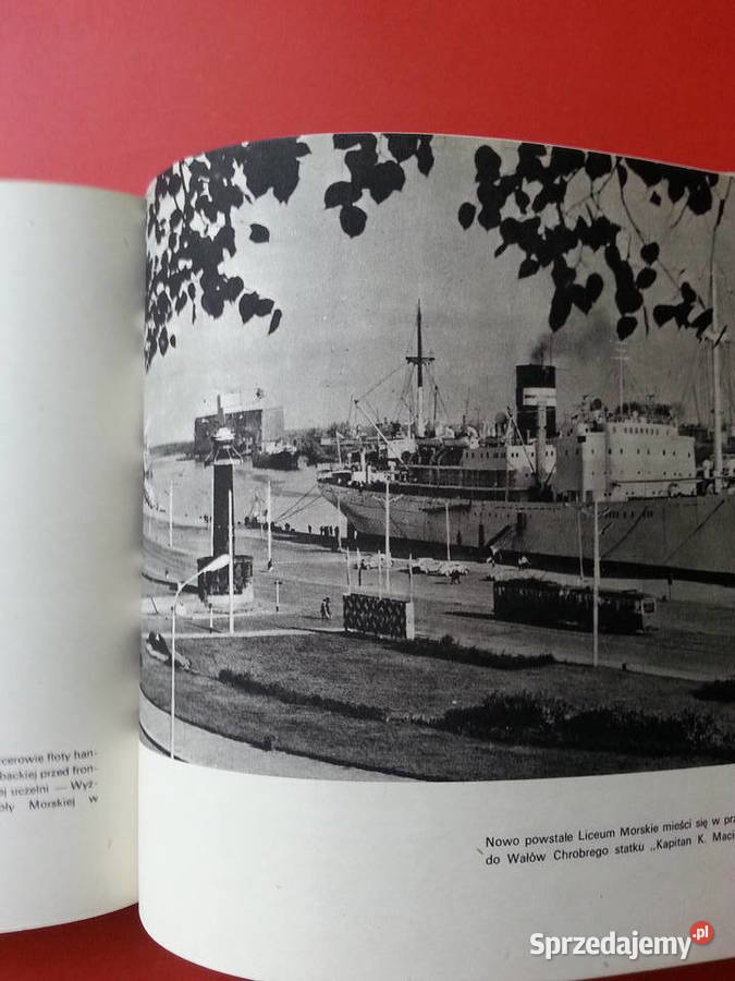 2963 Największy Bałtykiem zachodniopomorskie Szczecin