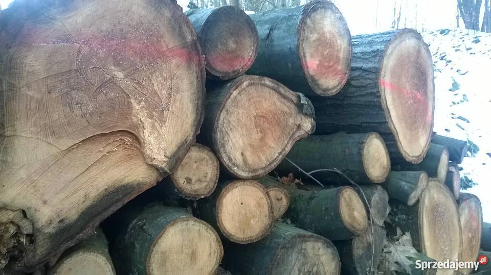 DREWNO TWARDE PROMOCJA Morąg