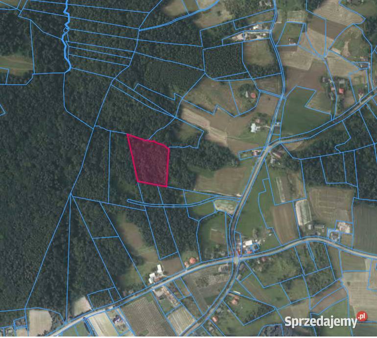 Sprzedam działkę Mierzeń Gmina Raciechowice rolna